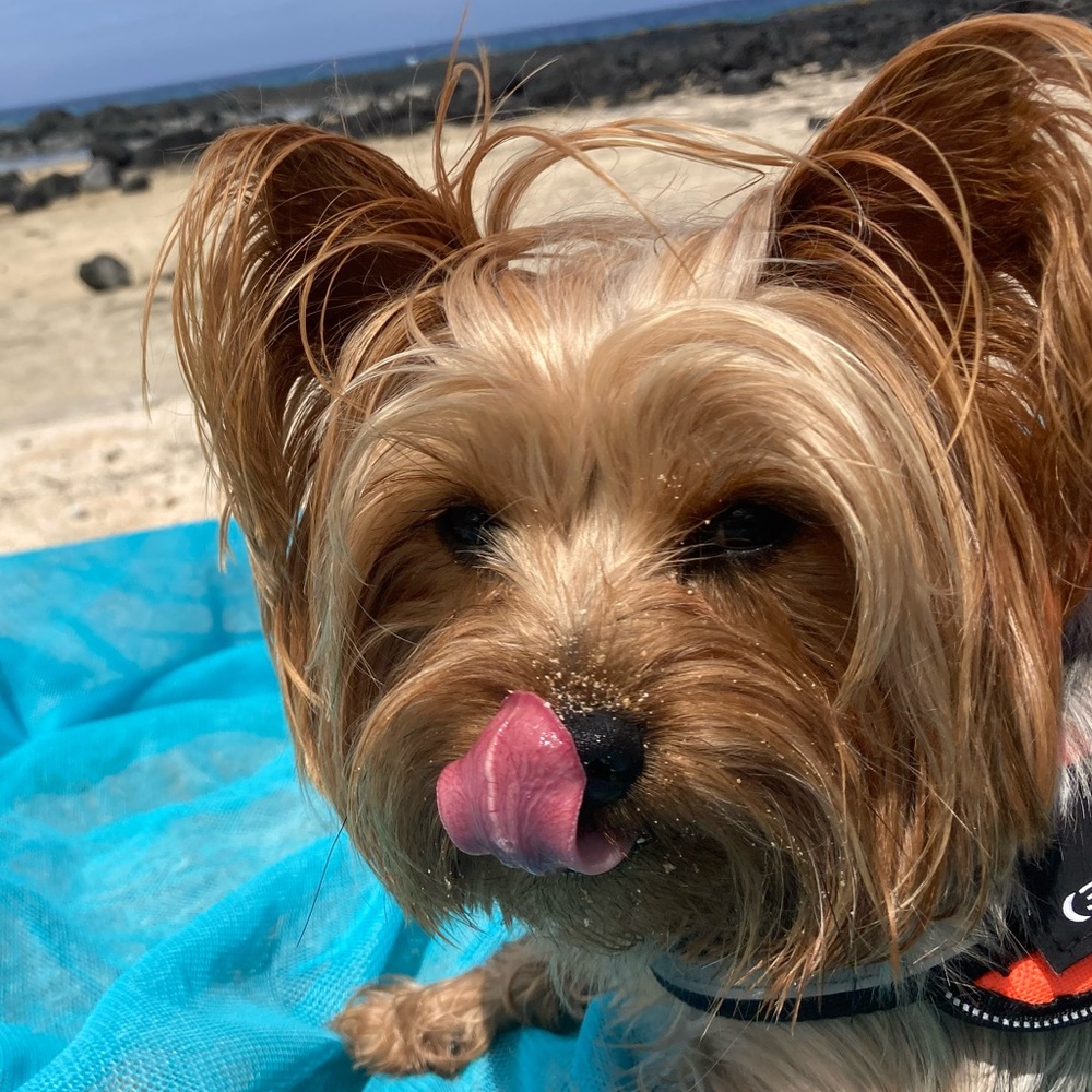 Meet your Posher, Danielle